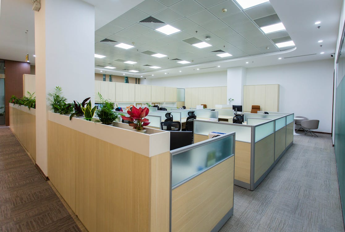 A view of an open plan office workspace